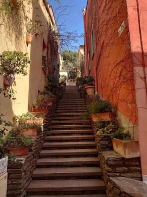 Property grounds - 3PA45 - Apartment with swimming pool (COLLIOURE)