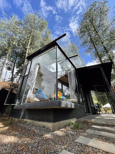 New deluxe cabin in the middle of a pine forest, only 7 min from the city!