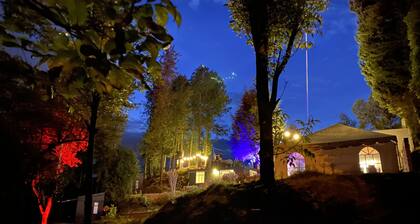 New deluxe cabin in the middle of a pine forest, only 7 min from the city!