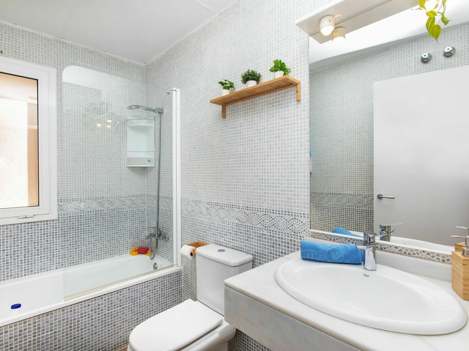 Un bany amb plat de dutxa de vidre, un vàter, un lavabo amb mirall i una estant amb plantes.