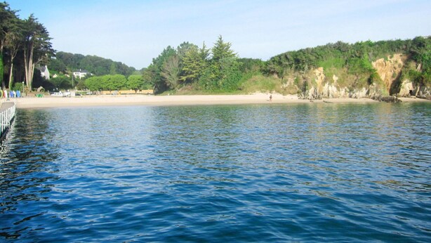 Un lago tranquillo con una spiaggia sabbiosa e alberi sullo sfondo.