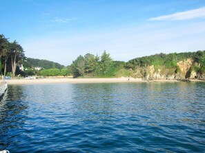 En stilla sjö med en sandstrand och träd i bakgrunden.