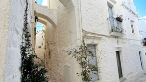 Una calle estrecha con edificios blancos, una planta pequeña en una maceta y una puerta.