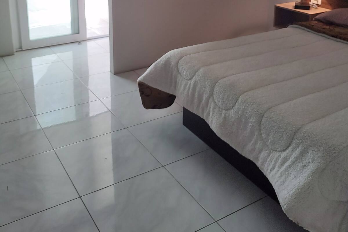 Desk, laptop workspace, iron/ironing board, free WiFi