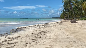 A beach with clear blue water, palm trees, and a rocky outcrop.