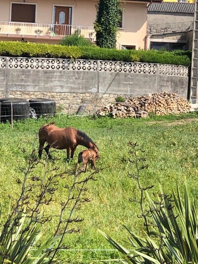 Ocean & Mountain View & Minutes to Dunas de Corruedo