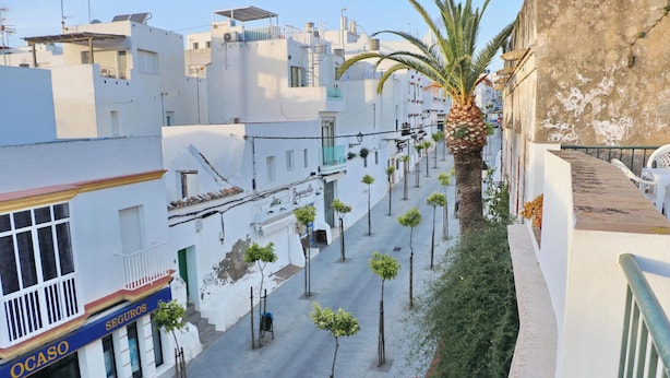 Una calle estrecha flanqueada por edificios blancos, una palmera y árboles pequeños.