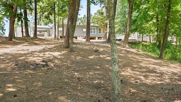 Área da propriedade
