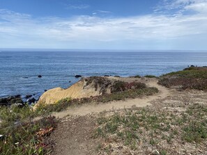 A coastal path with a sandy trail leading to the ocean, surrounded by vegetation and rocks. - Oceanfront Oasis, Sunsets & Crashing Waves (Moss Beach)