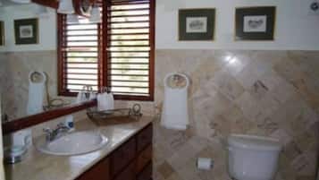 Combined shower/tub