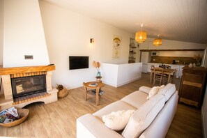 TV, fireplace, books