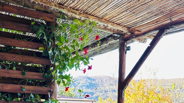 Een jacuzzi onder een houten pergola, met uitzicht op een zwembad en bergen.