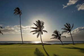 Campo de golf con palmeras y vista al océano.