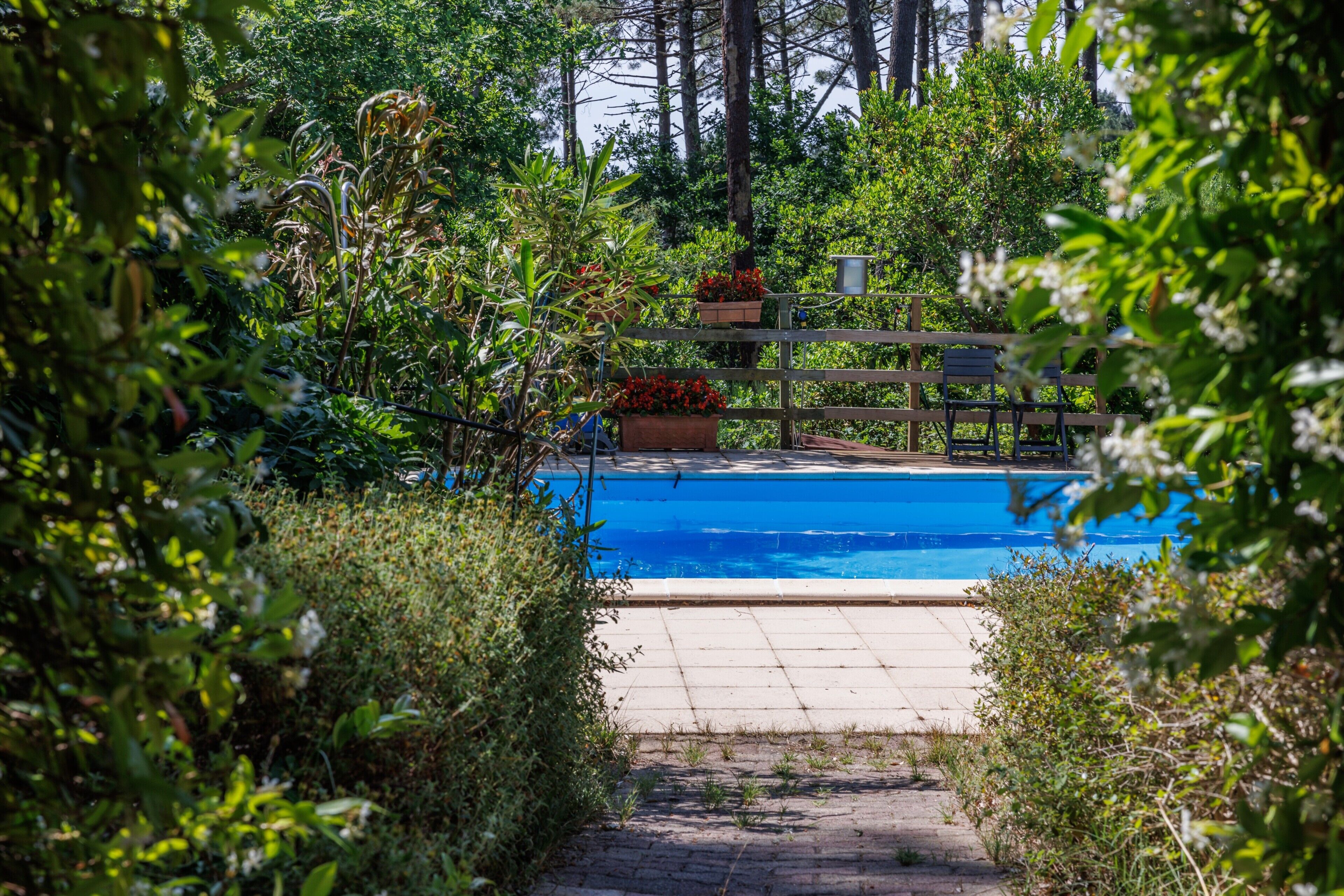 A swimming pool surrounded by greenery, with a wooden deck and a fence.