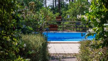 A swimming pool surrounded by greenery, with a wooden deck and a fence.