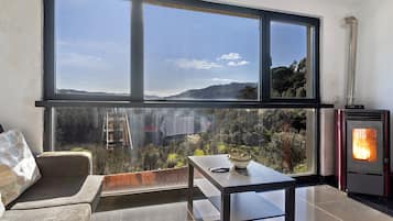 Tv, eldstad, dvd-spelare och ett bordtennisbord