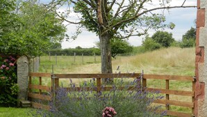 A rustic wooden gate with a stone wall, surrounded by lavender plants and a small blue pot with pink flowers. - Farmhouse with pool, pets allowed in Sologne Bourbonnaise (Mercy)