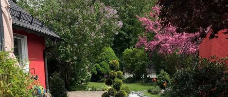 A garden with a pathway, rocks, and various plants.