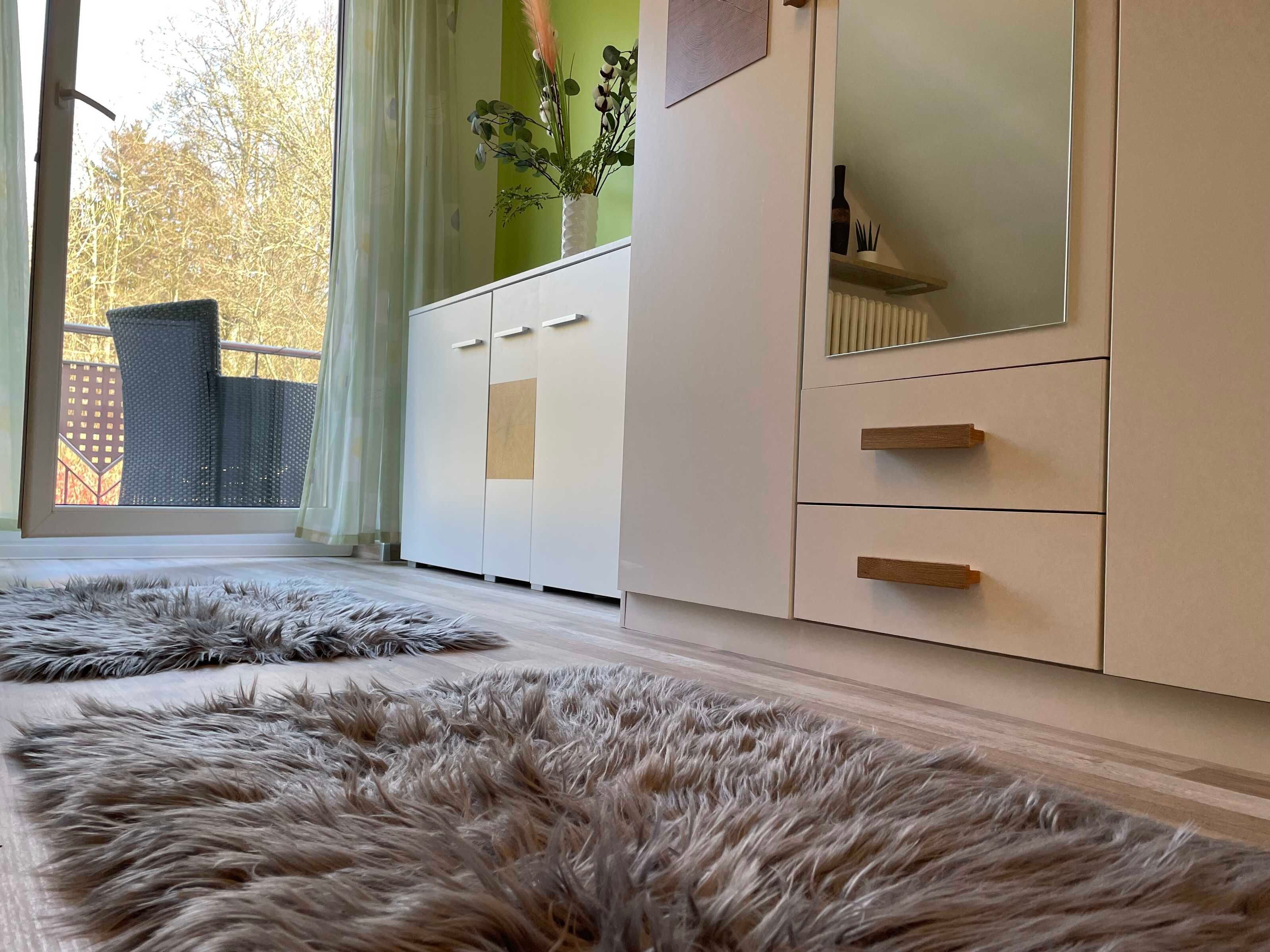 A room with a large window, a white wardrobe, a fluffy rug, and a vase with plants on the windowsill.