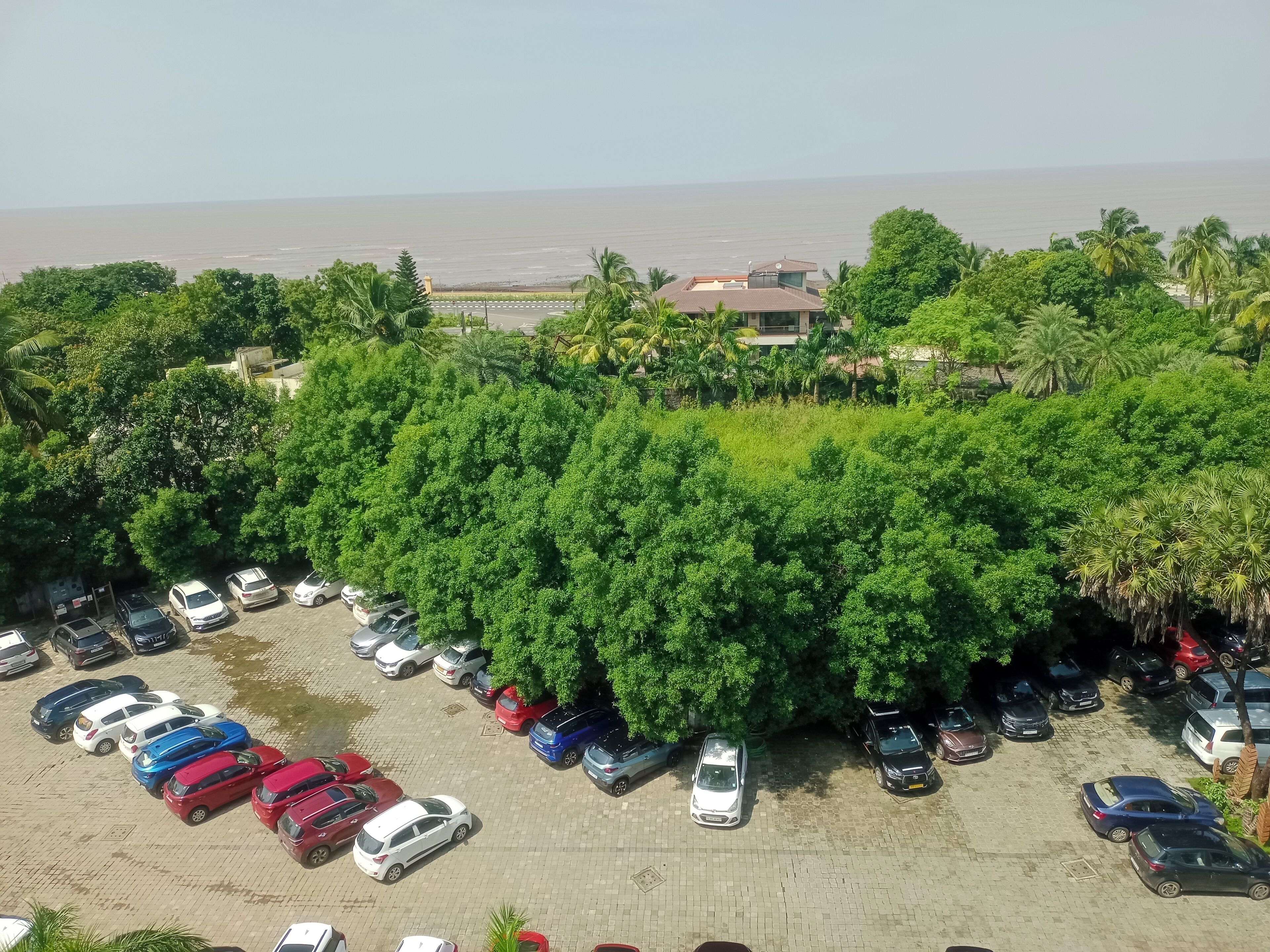 Um estacionamento com carros e vista para o mar.