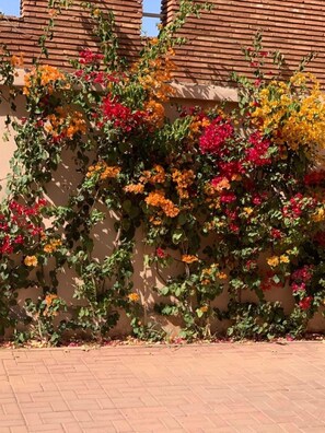 Exterior - La Perla de Marrakech (Marrakech)