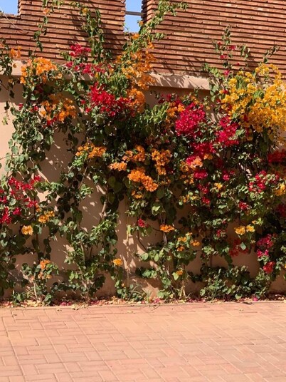 La Perla de Marrakech