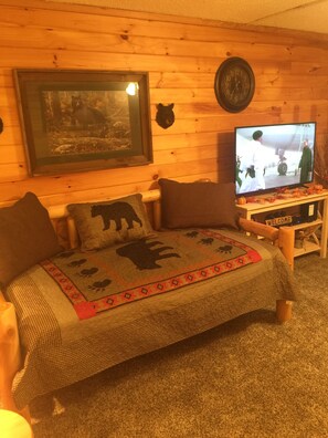 A cozy living room with a wooden wall, a framed picture, a television, and a sofa with a patterned throw. - Beautiful waterfall in the front and back door. (Gatlinburg)