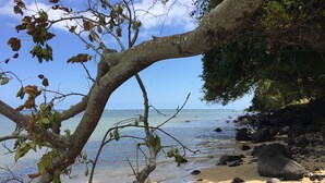 A beach with clear water, rocks, and a tree branch overhanging the sand. - VILLA LUXURY 220 m2 private pool Royal Park secure quiet (Moka)