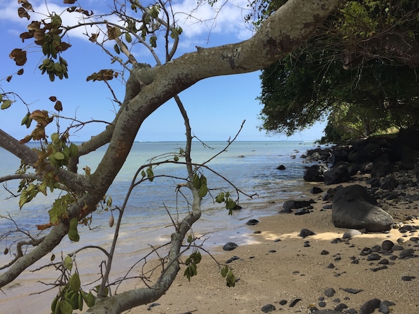 Plage à proximité