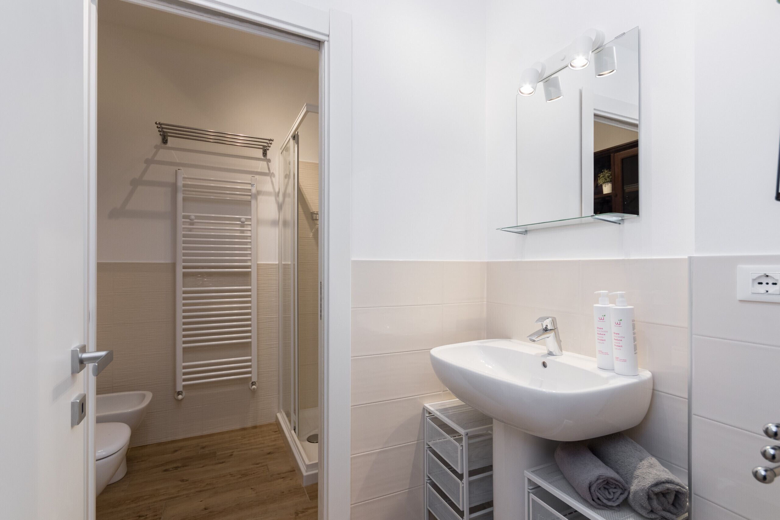 Shower, hair dryer, bidet, towels