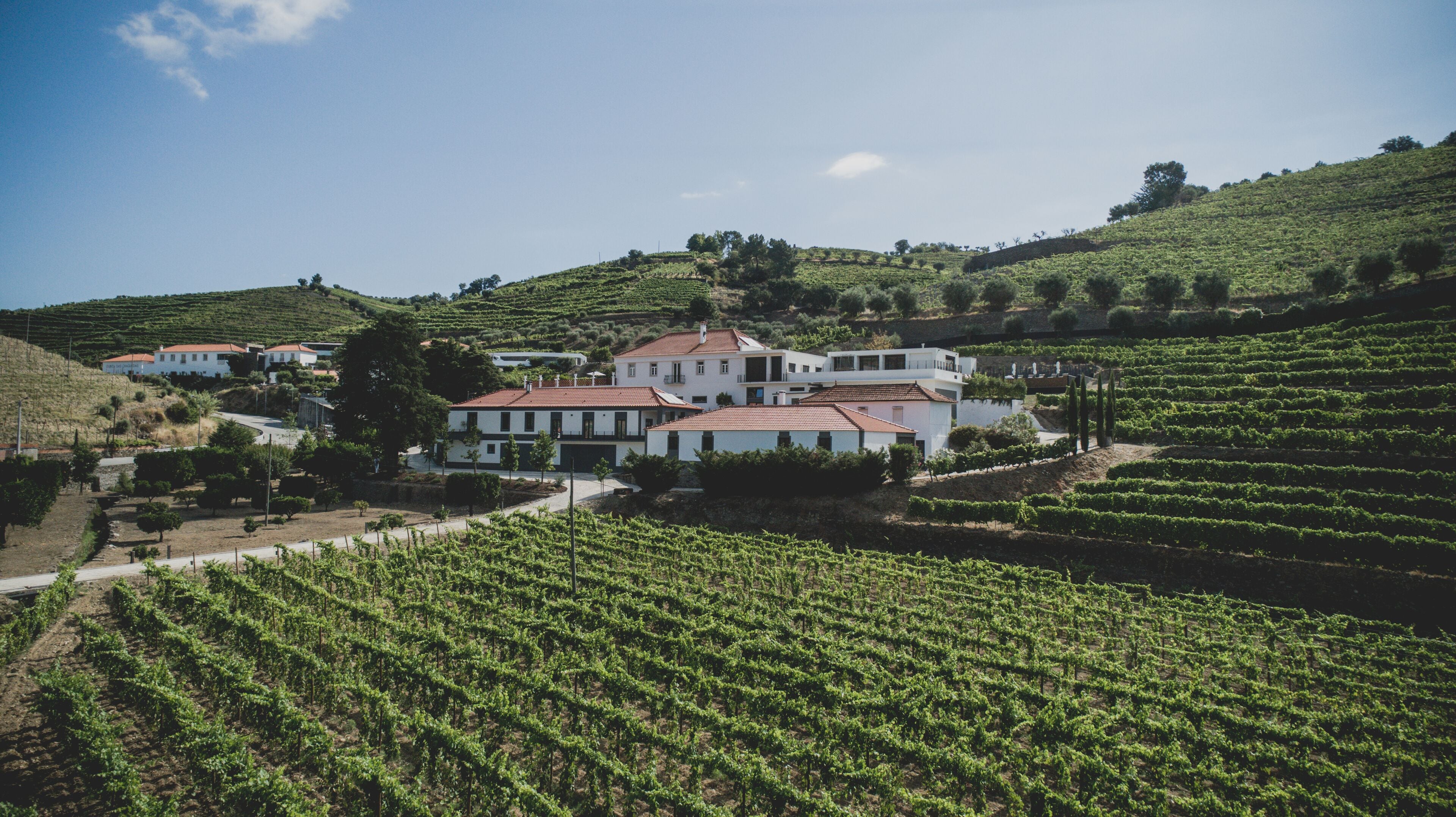 A vineyard estate with multiple buildings, including a large house with a red roof and white walls, surrounded by rows of grapevines.