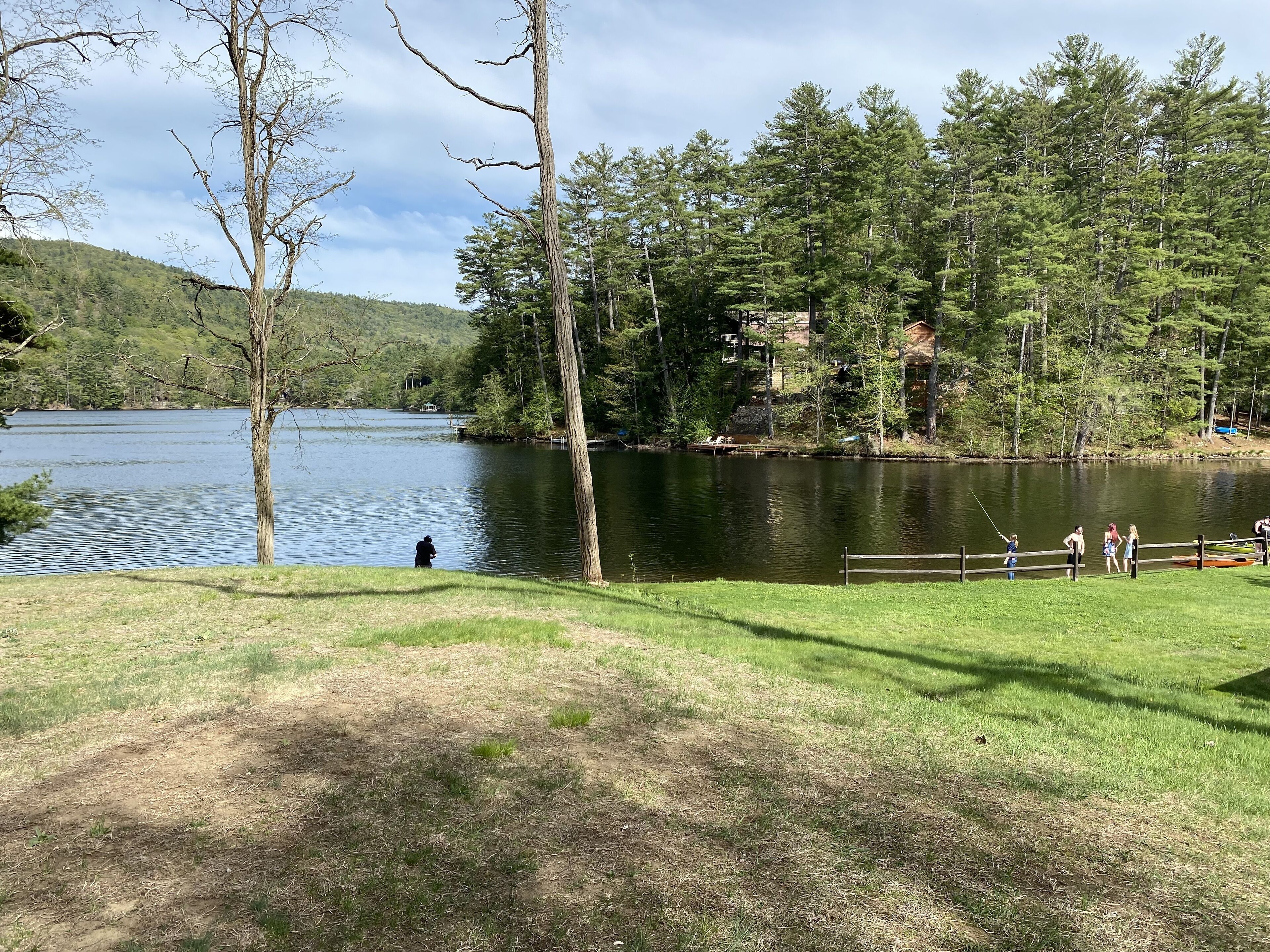 Vista de un lago con un muelle de madera, zonas de césped y árboles frondosos.
