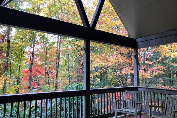 Àrea exterior de l'allotjament