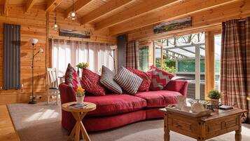 TV, fireplace, books