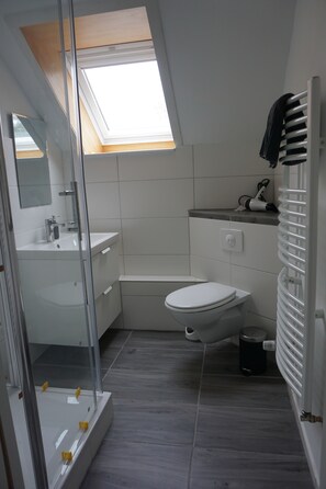 Dusche, Haartrockner, Handtücher, Seife