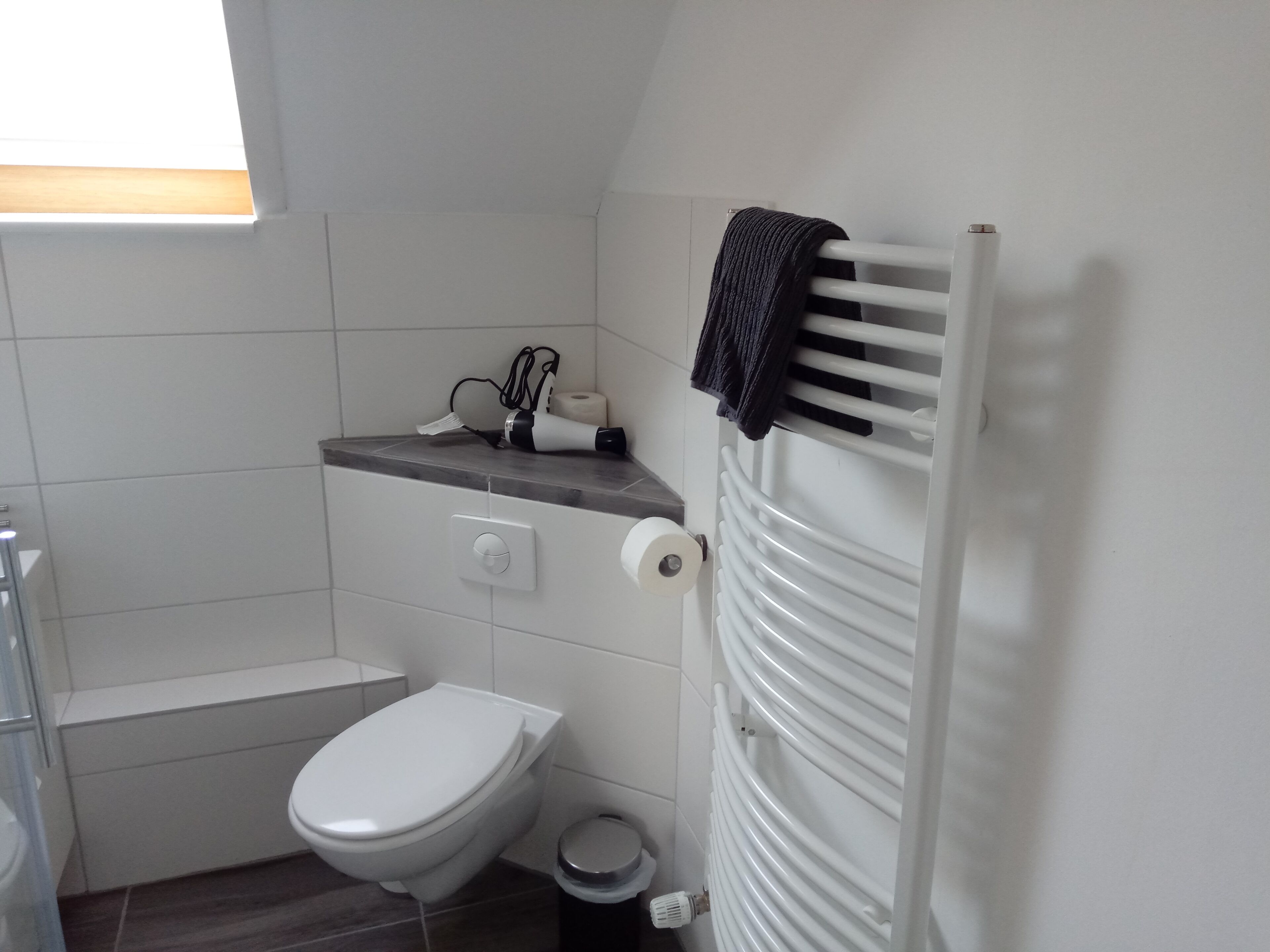 Un bagno compatto con il water, un portasciuga e un termosifone.