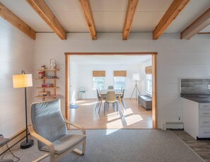 Smart TV, chimenea, libros y biblioteca musical 