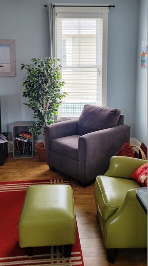 Smart TV, fireplace, DVD player, books