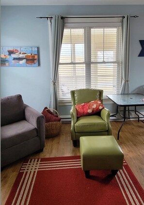 TV connectée, cheminée, lecteur de DVD, livres