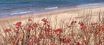 5 Star Log Beach House by the Ocean