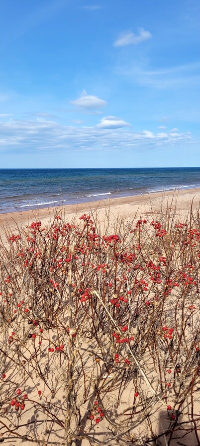 5 Star Log Beach House by the Ocean