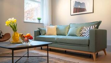 Fernseher, Arbeitsbereiche