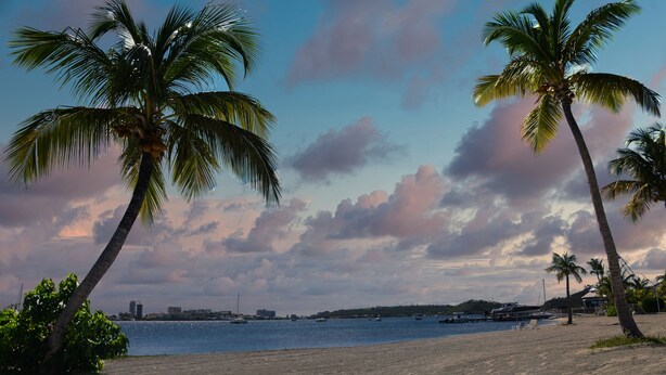 A beach with palm trees and a view of the water. - Superb T3 Duplex, lagoon-side (Collectivité de Saint-Martin)