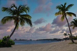A beach with palm trees and a view of the water.