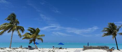 Tæt på stranden, liggestole, badehåndklæder