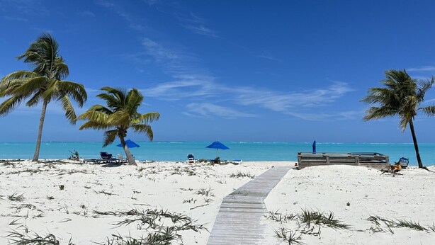 Ein Sandstrand mit einer Holzpromenade, Palmen und Liegestühlen.
