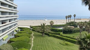 A hotel with a view of the beach, featuring a well-maintained lawn, palm trees, and a clear sky. - T2 CABIN with terrace and exceptional sea view (Canet-en-Roussillon)