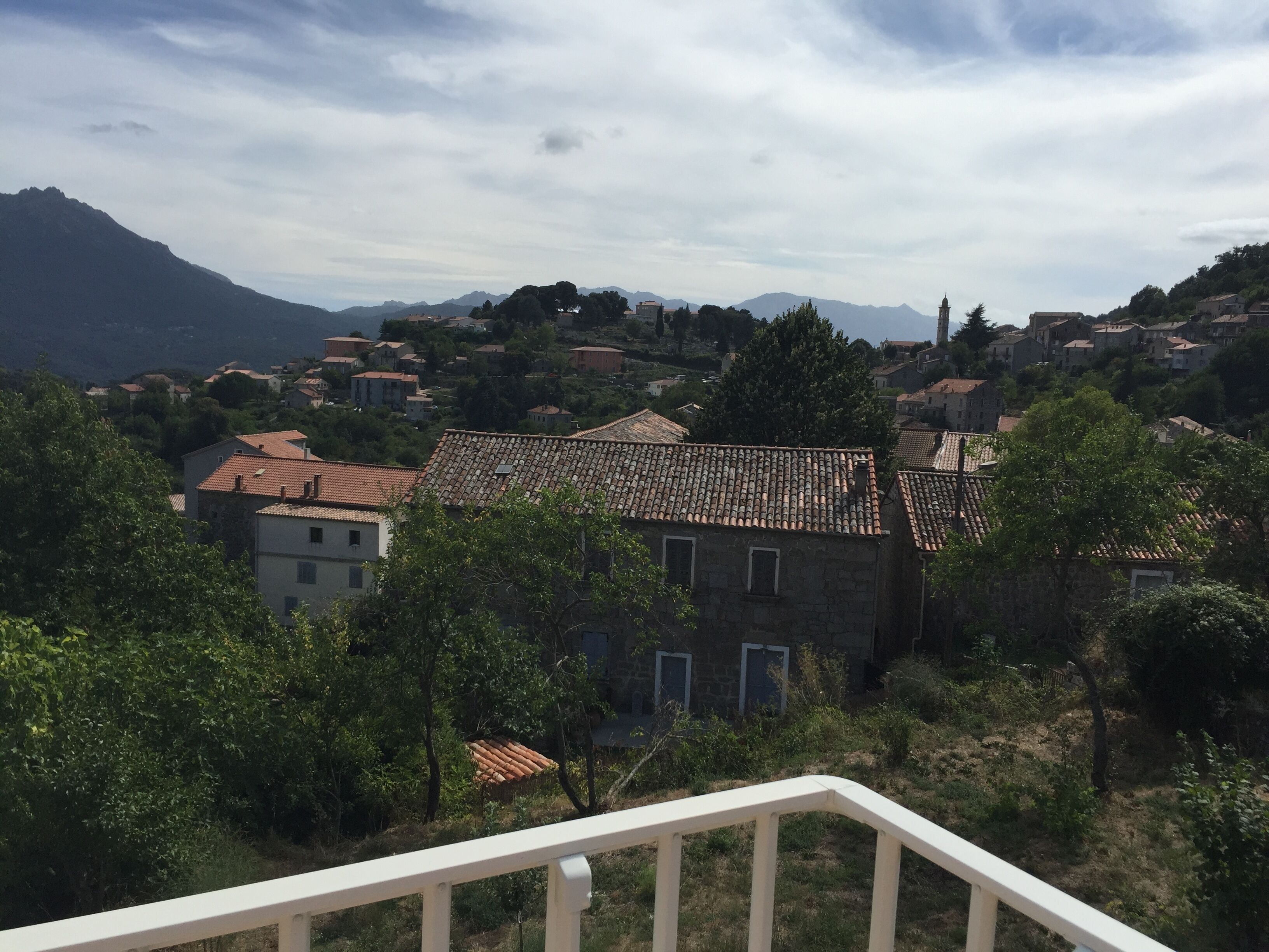 Área da propriedade