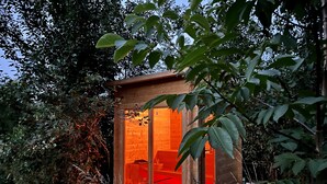 Una piccola baita di legno con una porta in vetro, immersa in una fitta vegetazione.