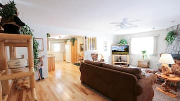 Talo | Oleskelualue | 46–tuumainen LCD-televisio, jossa satelliittikanavat